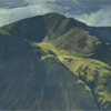 Dollywagon pike  watercolour and gouache  132mm x 240mm