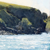 Near Hillswick Watercolour and gouache  170 x 380mm